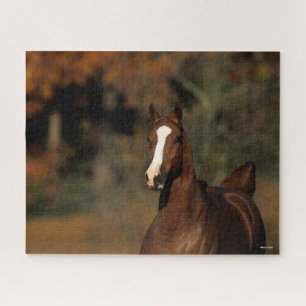 Bob Langrish   Kastanienwurzel Puzzle