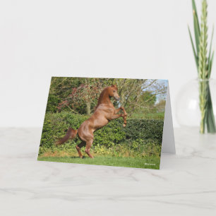 Bob Langrish Kastanienzucht Karte