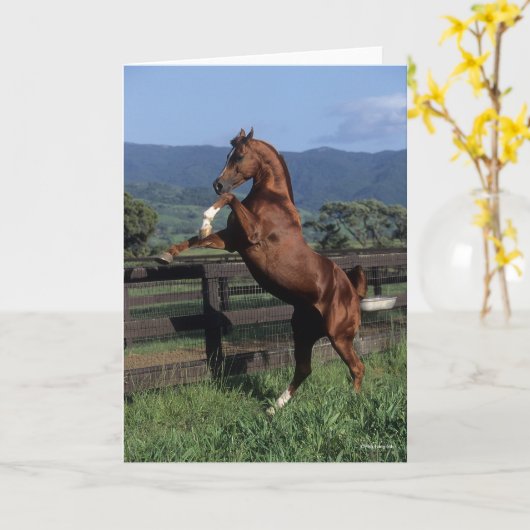 Bob Langrish | Kastanienzucht Karte (Gelbe Blume)