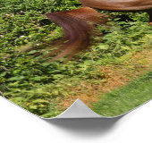 Bob Langrish | Kastanienzucht Poster (Ecke)