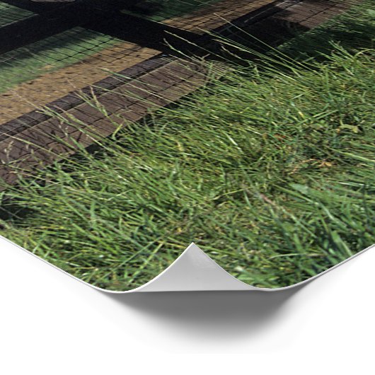 Bob Langrish | Kastanienzucht Poster (Ecke)