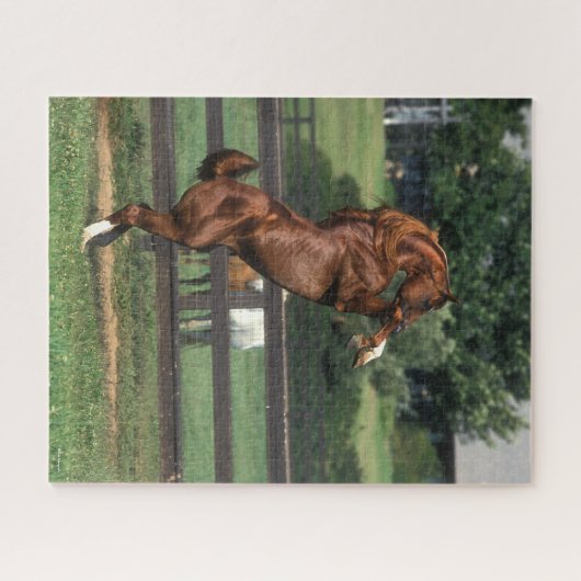 Bob Langrish | Kastanienzucht Puzzle (Horizontal)