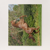 Bob Langrish | Kastanienzucht Puzzle (Vertikal)