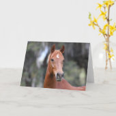 Bob Langrish | Kastanuss Oldenburg Headshot Karte (Gelbe Blume)