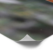 Bob Langrish | Kastanuss Oldenburg Headshot Poster (Ecke)