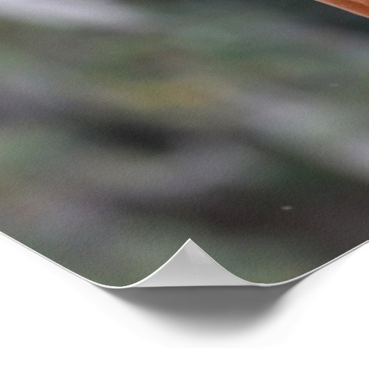 Bob Langrish | Kastanuss Oldenburg Headshot Poster (Ecke)