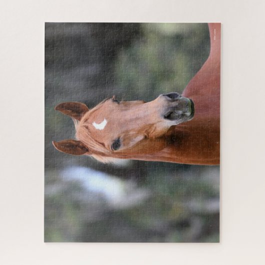 Bob Langrish | Kastanuss Oldenburg Headshot Puzzle (Vertikal)