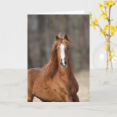 Bob Langrish | Kastnut Hackney Headshot Karte (Gelbe Blume)