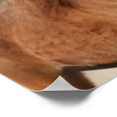 Bob Langrish | Kastnut Hackney Headshot Poster (Ecke)