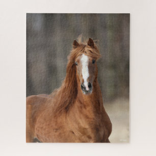 Bob Langrish   Kastnut Hackney Headshot Puzzle