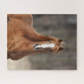 Bob Langrish | Kastnut Hackney Headshot Puzzle (Horizontal)