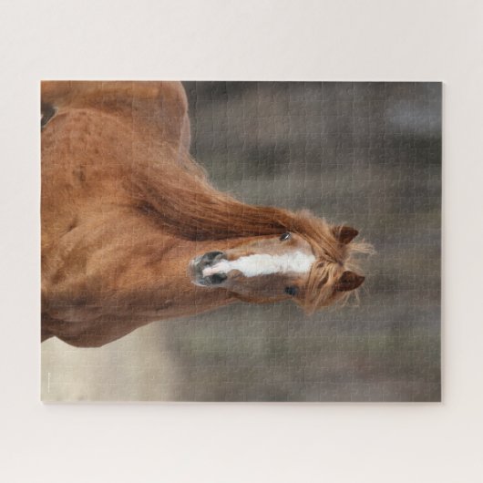 Bob Langrish | Kastnut Hackney Headshot Puzzle (Horizontal)