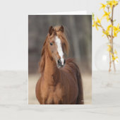 Bob Langrish | Kastnut Hackney Pony Headshot Karte (Gelbe Blume)