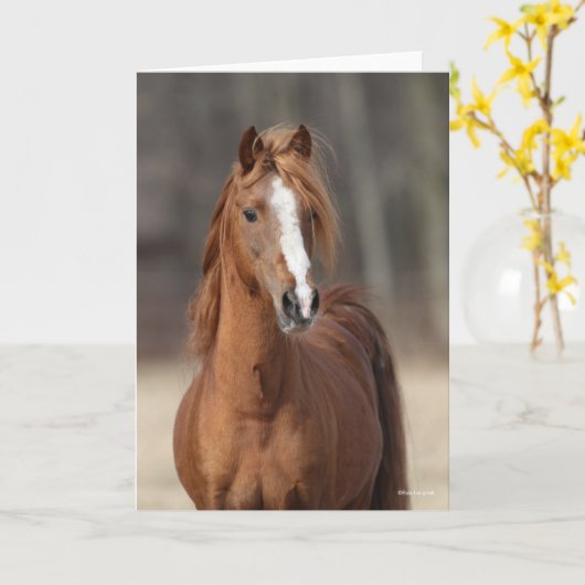 Bob Langrish | Kastnut Hackney Pony Headshot Karte (Gelbe Blume)