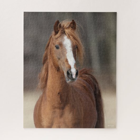 Bob Langrish | Kastnut Hackney Pony Headshot Puzzle (Vertikal)