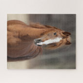 Bob Langrish | Kastnut Hackney Pony Headshot Puzzle (Horizontal)