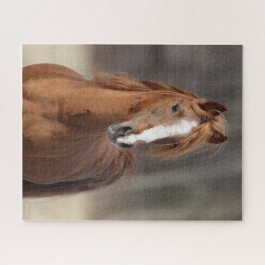 Bob Langrish | Kastnut Hackney Pony Headshot Puzzle (Horizontal)