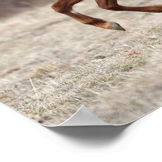 Bob Langrish | Kastnut Hackney Pony Running Poster (Ecke)