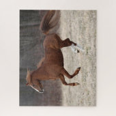 Bob Langrish | Kastnut Hackney Pony Running Puzzle (Vertikal)