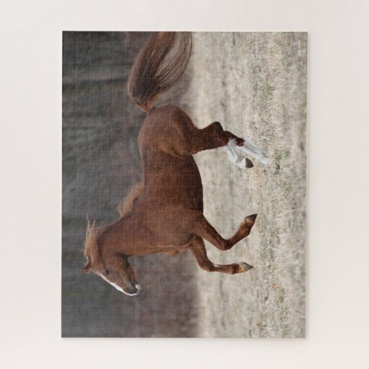 Bob Langrish | Kastnut Hackney Pony Running Puzzle (Vertikal)