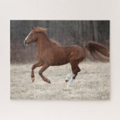 Bob Langrish | Kastnut Hackney Pony Running Puzzle (Horizontal)