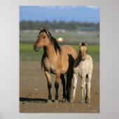 Bob Langrish Kiger Mustang Mare and Foal Standing Poster (Vorne)
