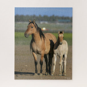 Bob Langrish Kiger Mustang Mare und Foal Stehend Puzzle