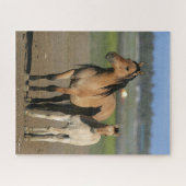 Bob Langrish Kiger Mustang Mare und Foal Stehend Puzzle (Horizontal)