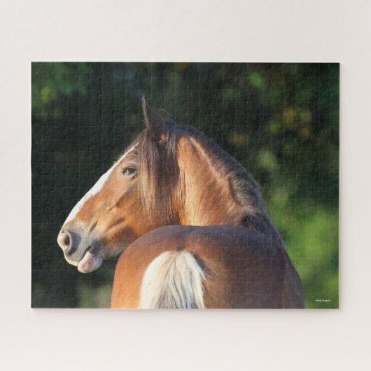 Bob Langrish | Kopfschuss des Clydesdale Pferdes Puzzle (Horizontal)