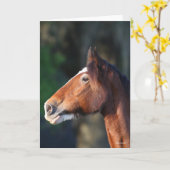 Bob Langrish | Kopfschuss von Clydesdale Karte (Gelbe Blume)