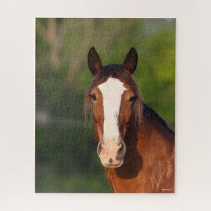 Bob Langrish Kopfschuss von Clydesdale Puzzle