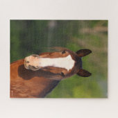 Bob Langrish | Kopfschuss von Clydesdale Puzzle (Horizontal)