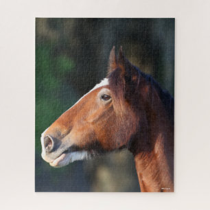 Bob Langrish Kopfschuss von Clydesdale Puzzle