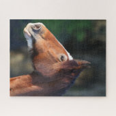 Bob Langrish | Kopfschuss von Clydesdale Puzzle (Horizontal)