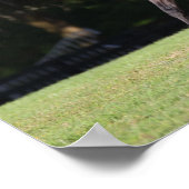 Bob Langrish | Light Bay Lusitano Running Poster (Ecke)