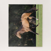 Bob Langrish | Light Bay Lusitano Running Puzzle (Vertikal)