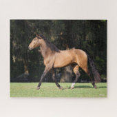 Bob Langrish | Light Bay Lusitano Running Puzzle (Horizontal)