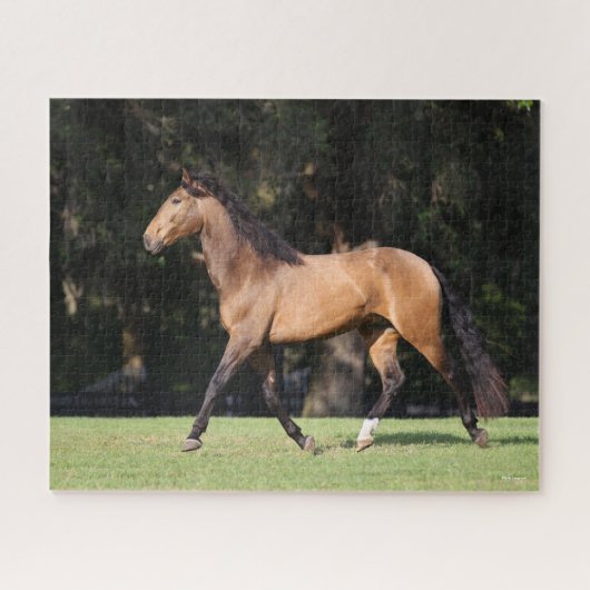 Bob Langrish | Light Bay Lusitano Running Puzzle (Horizontal)