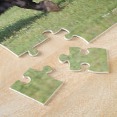 Bob Langrish | Light Bay Lusitano Running Puzzle (Seite)