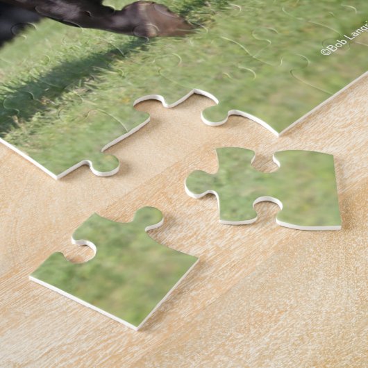 Bob Langrish | Light Bay Lusitano Running Puzzle (Seite)