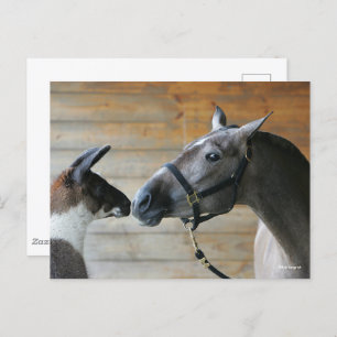 Bob Langrish Llama und Andalusischer Meeting Heads Postkarte