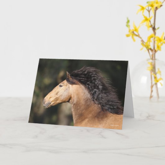 Bob Langrish | Lusitano Headshot Mane Flows Karte (Gelbe Blume)