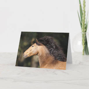 Bob Langrish   Lusitano Headshot Mane Flows Karte