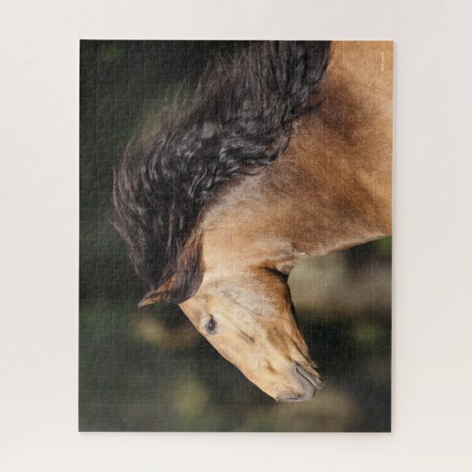 Bob Langrish | Lusitano Headshot Mane Flows Puzzle (Vertikal)