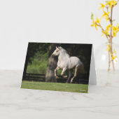 Bob Langrish | Lusitano Pferderennen Karte (Gelbe Blume)