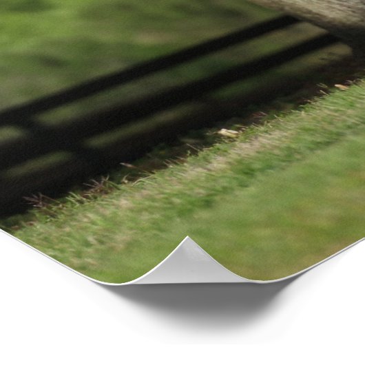 Bob Langrish | Lusitano Pferderennen Poster (Ecke)