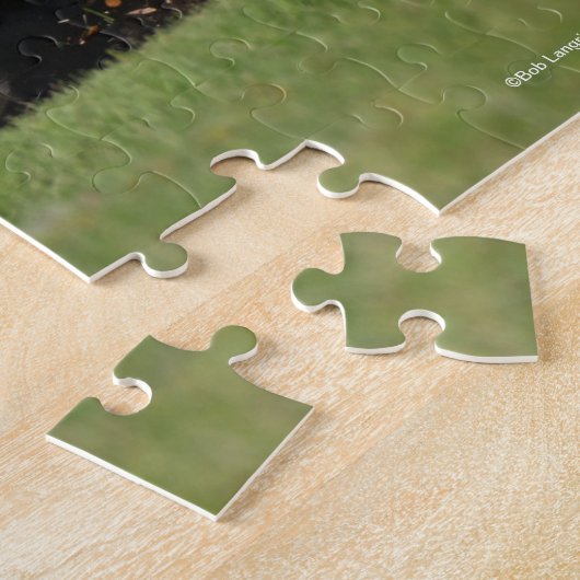 Bob Langrish | Lusitano Pferderennen Puzzle (Seite)