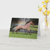 Bob Langrish | Mangalarga Rainbow Karte (Gelbe Blume)