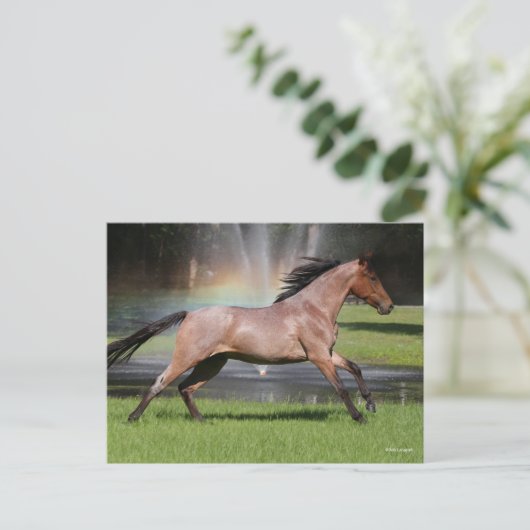 Bob Langrish | Mangalarga Rainbow Postkarte (Stehend Vorderseite)