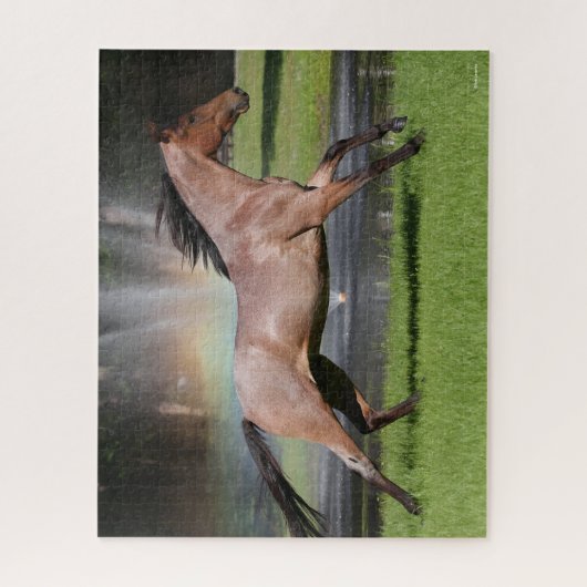 Bob Langrish | Mangalarga Rainbow Puzzle (Vertikal)